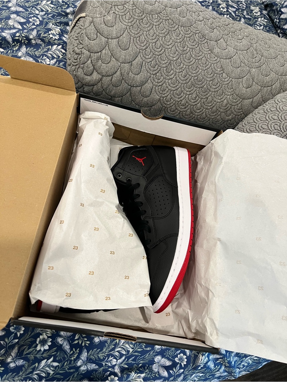 Nike Air Jordan Access Bred Black Gym Red and White.